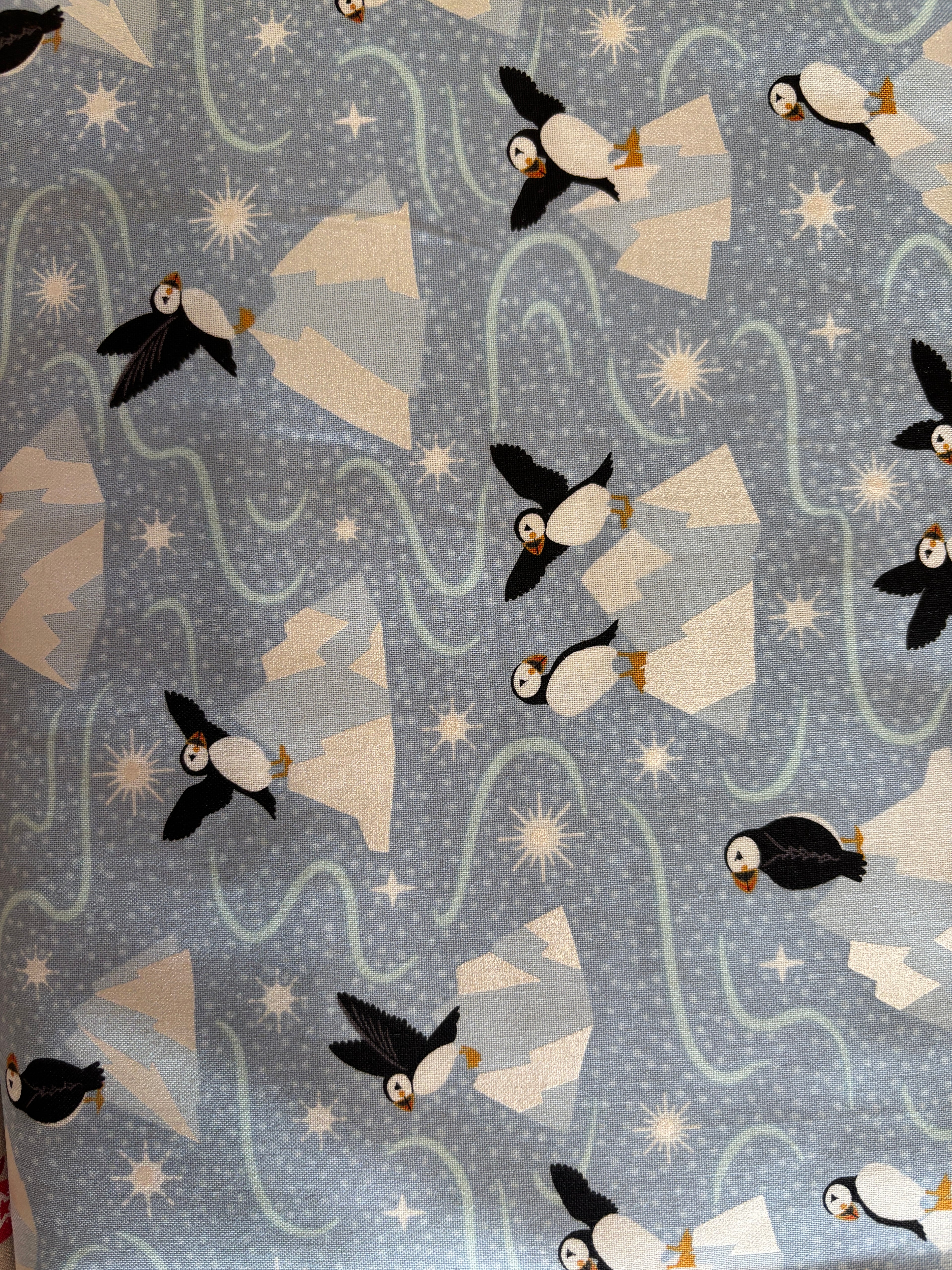Puffins on ice
